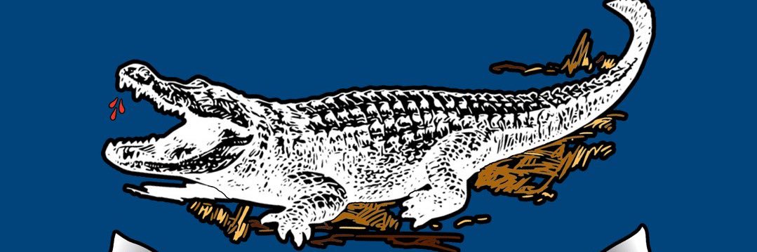 lostbobcat's profile banner image
