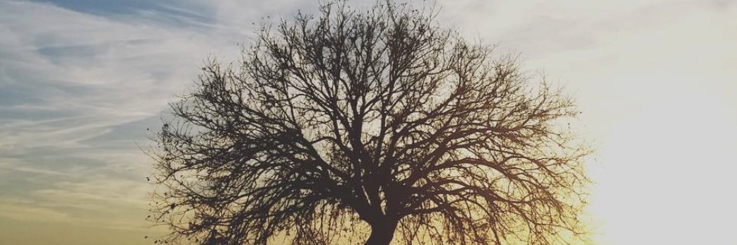 _drewzy's profile banner image