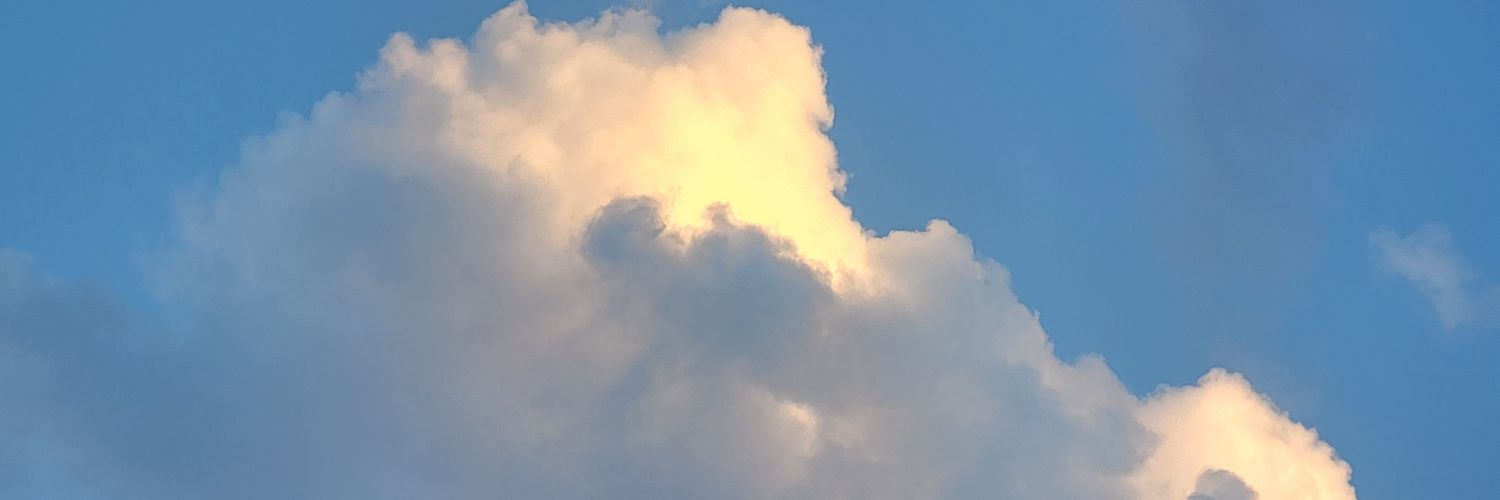 tayonnaise's profile banner image