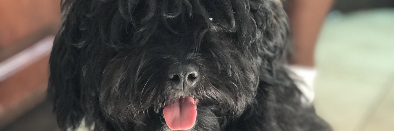 luchicanrap's profile banner image