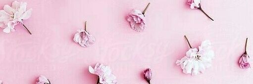 BrenSalinass's profile banner image