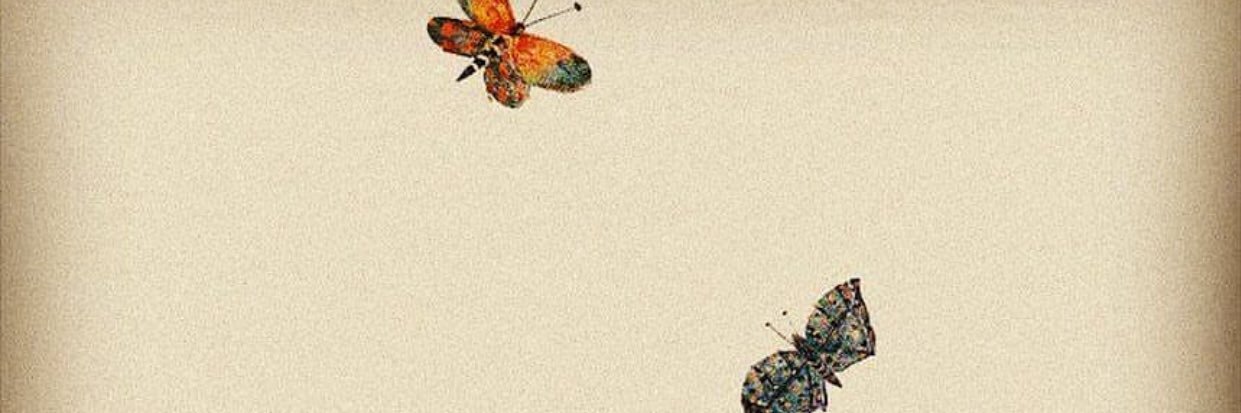 Fatema__2012's profile banner image