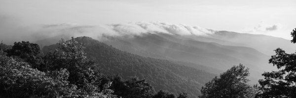 MonicaSylor Profile Banner