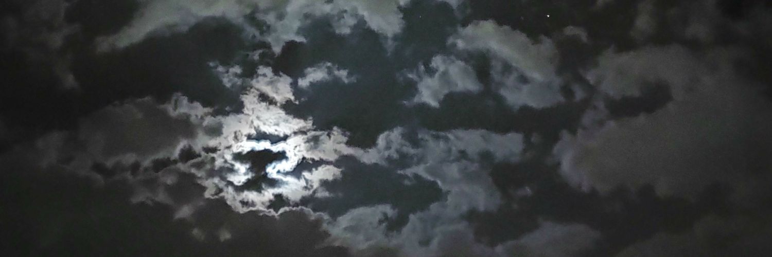 MartinRBullet's profile banner image