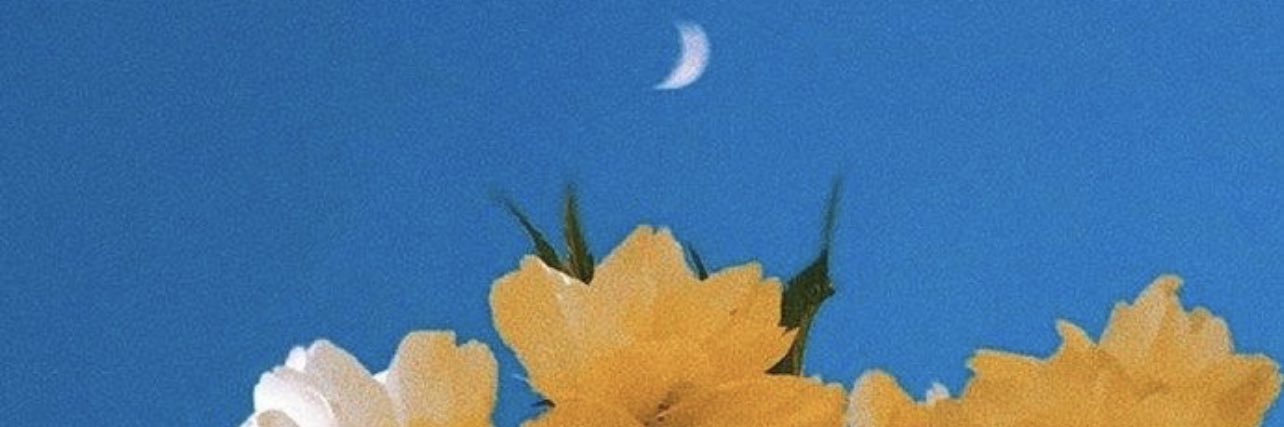 camiabati's profile banner image