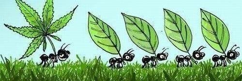 eljerry7's profile banner image