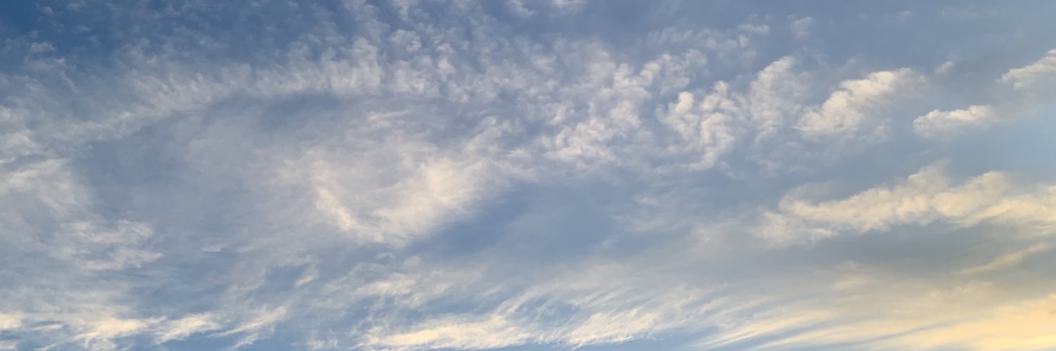 Lafeertz's profile banner image