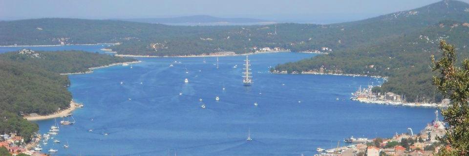 Ivan Mojsilovic banner