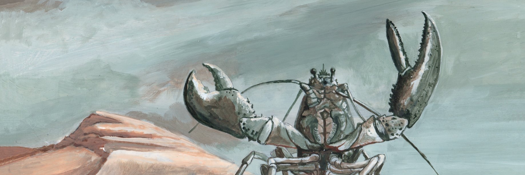 dfirthbard.bsky.social banner