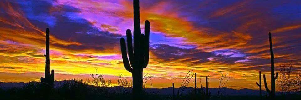 💫⭐️🌟Dem WarriorPrincess 🌟⭐️💫 banner