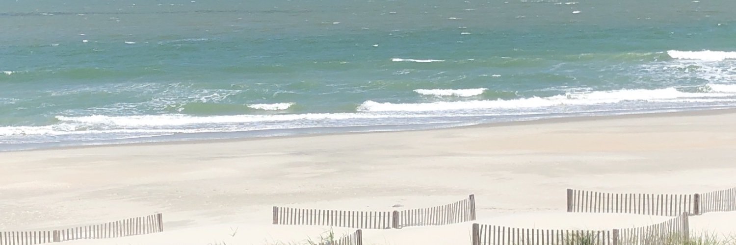 GraceDrSteve's profile banner image