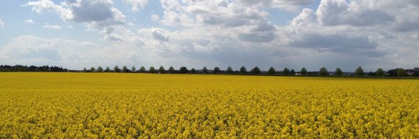 nicolasloreau17 Profile Banner