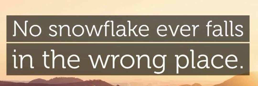 Jogi ( Ultimate Bhogi ) 👨‍🌾 banner