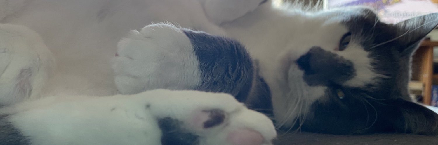 satangirlmax's profile banner image