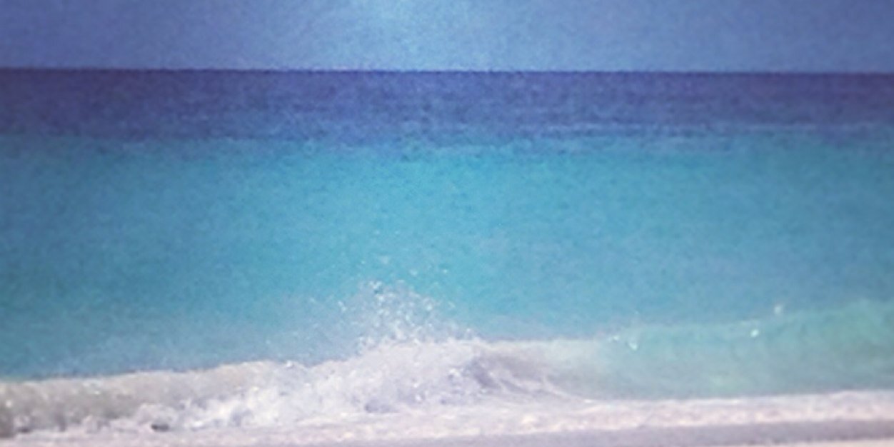 stephweilert's profile banner image