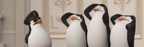 noahsaff's profile banner image