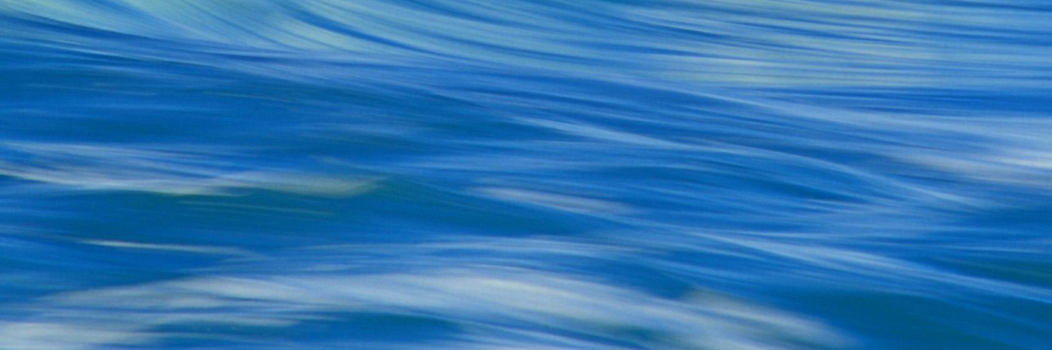 Cardax banner