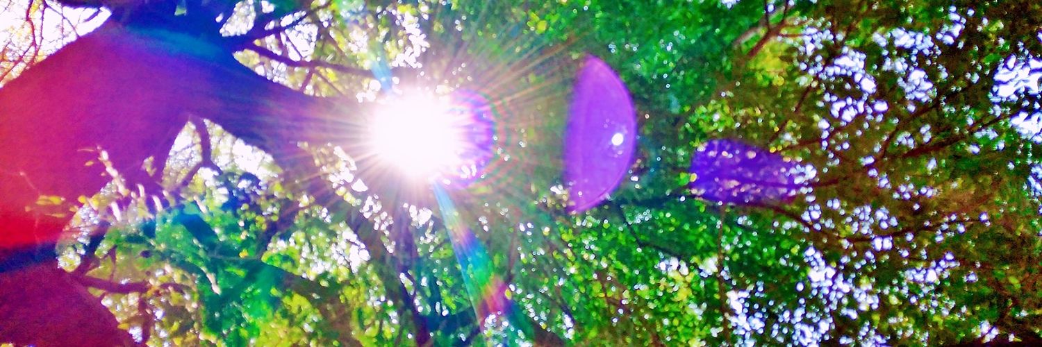 OmarMuozBarrios's profile banner image
