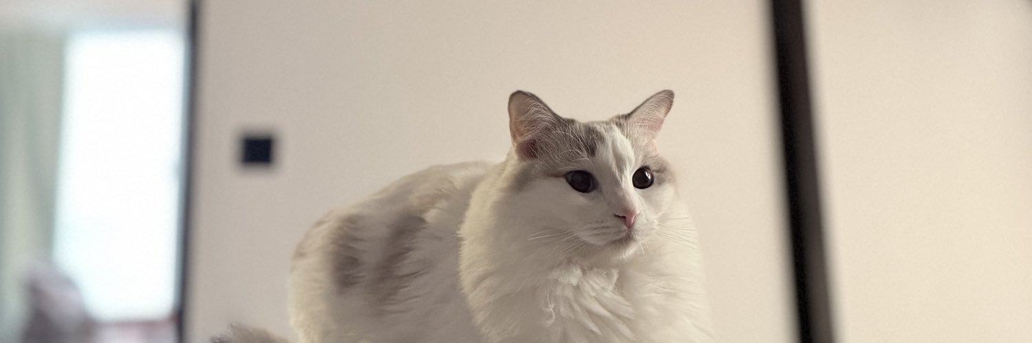 𝗂𝗍𝗈𝗁 banner