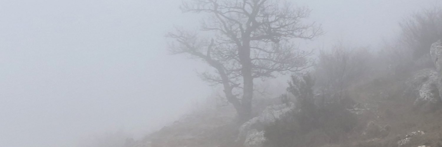 hooplaala's profile banner image