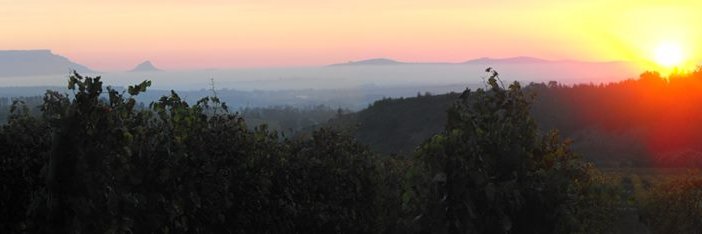 Make Mine a Wine banner