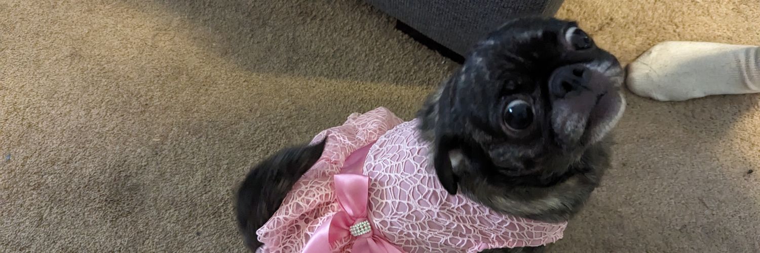 BrettClaud.io banner