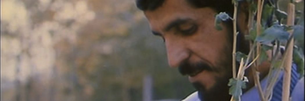 Madras Film Screening Club 🎬 banner