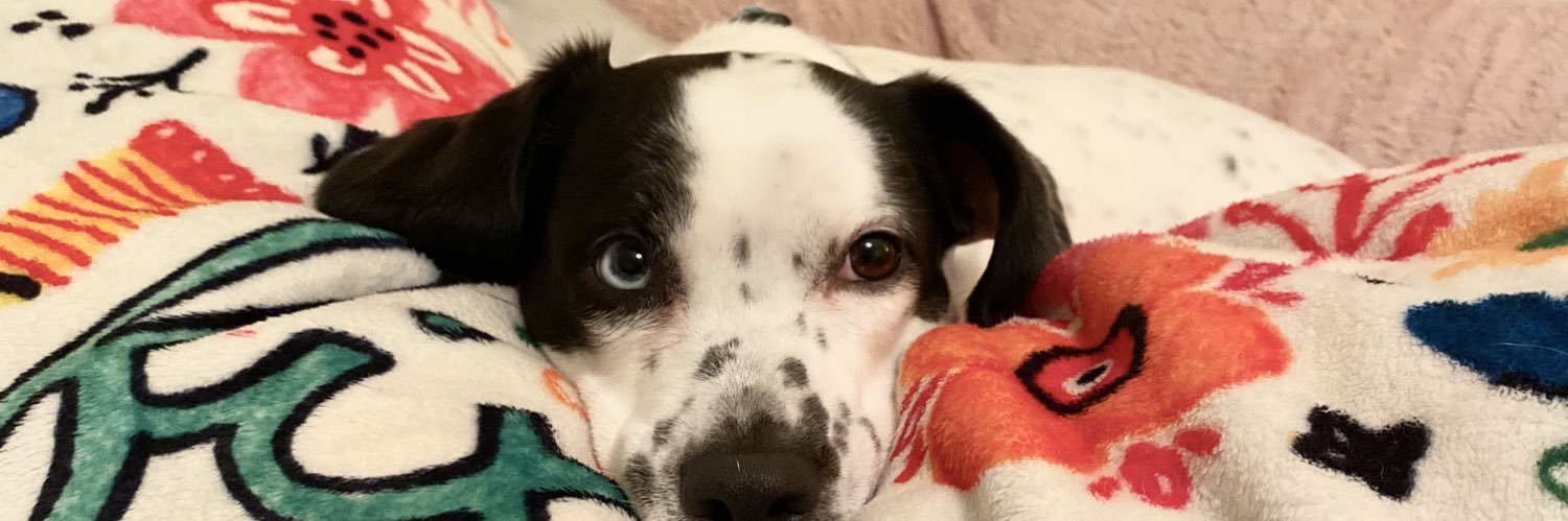 MadddyMadison's profile banner image