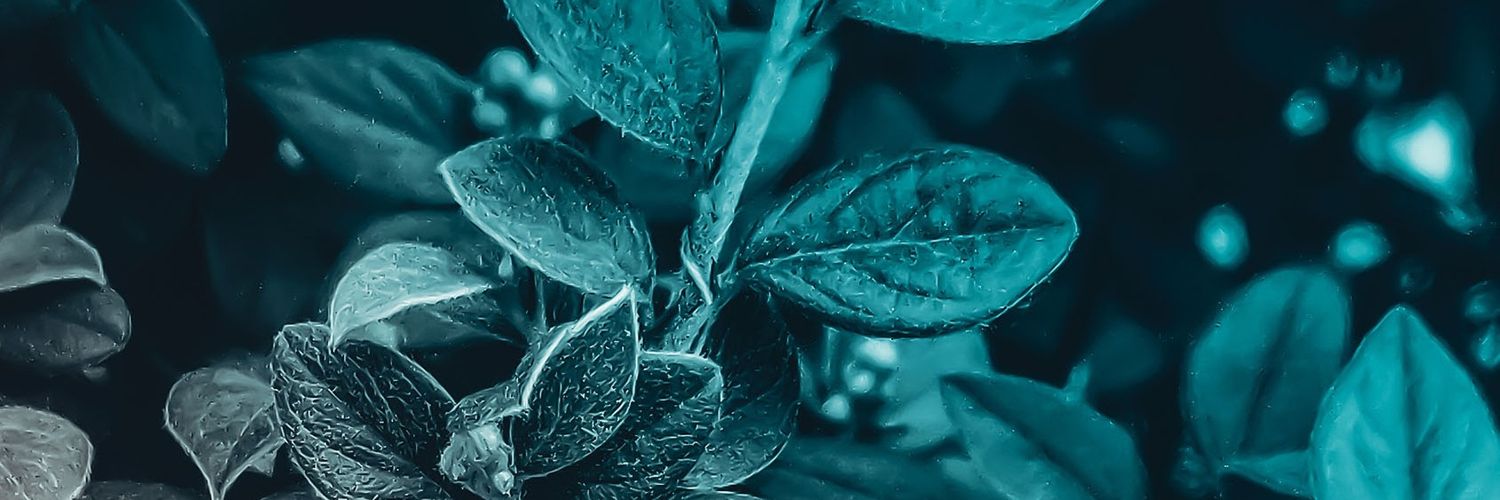 iamabdooll's profile banner image