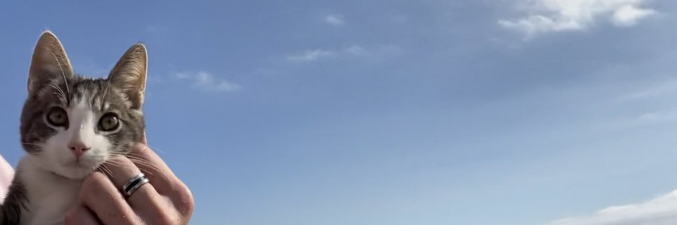 Tpuffin's profile banner image