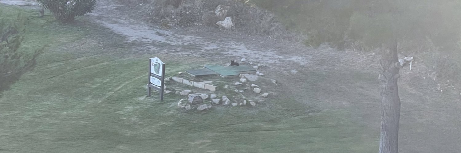 poulet malade banner