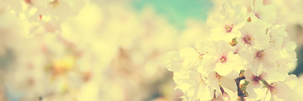 PrinceRobyn_'s profile banner image