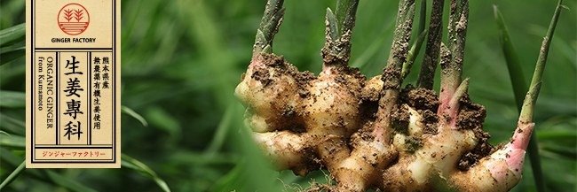 gingerfact2012's profile banner image