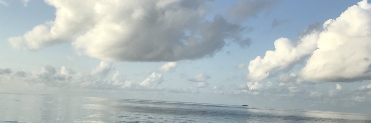 daniah86's profile banner image