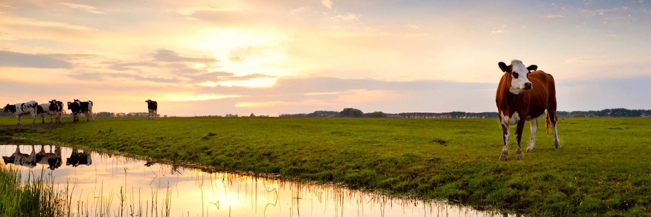 DKSLimited's profile banner image