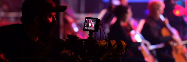 groovygecko Profile Banner