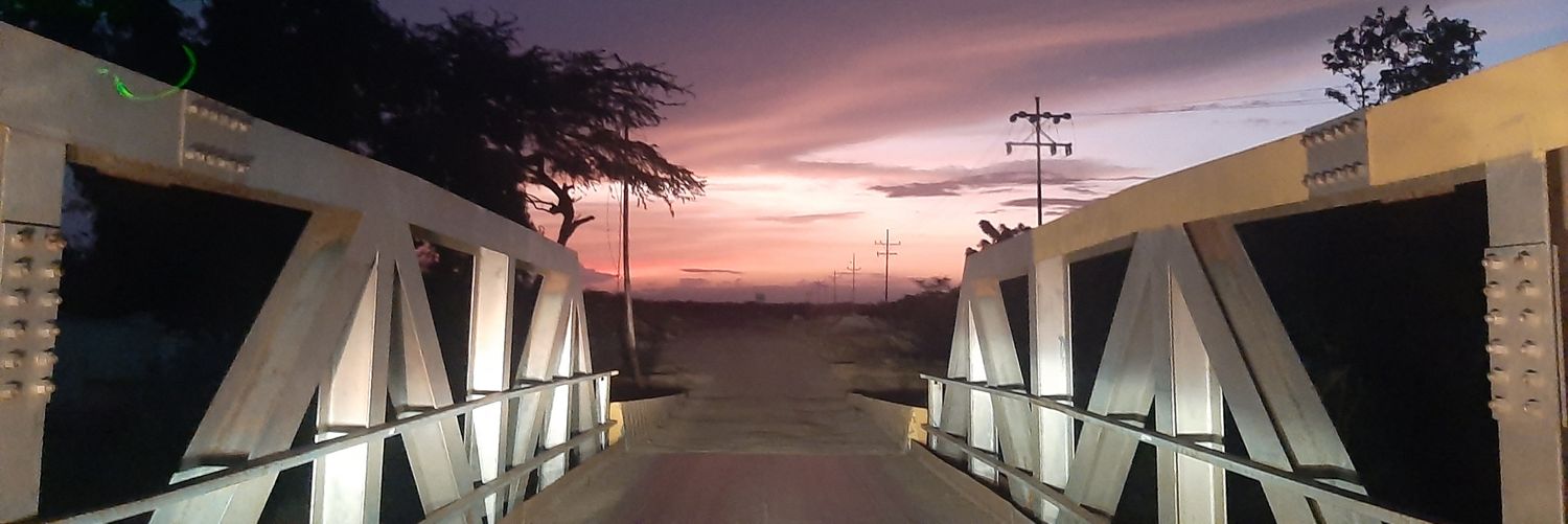 Yanitza Martínez banner