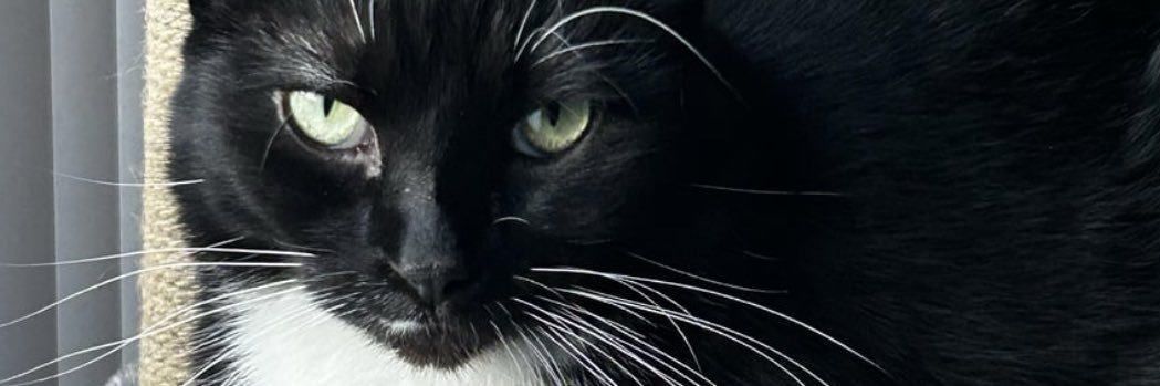 ivyRuok's profile banner image