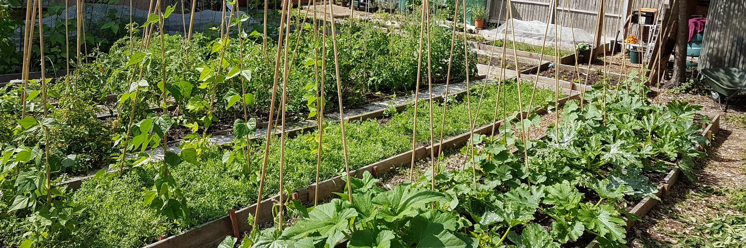 WalthamGrow's profile banner image