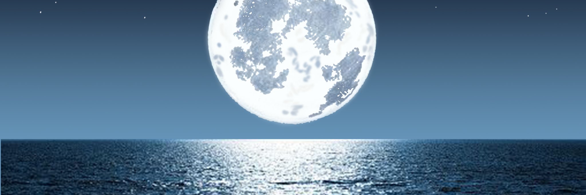 柳 静(りゅう せい) banner