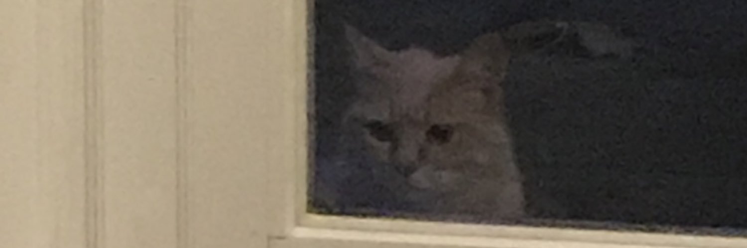 king_shanz's profile banner image