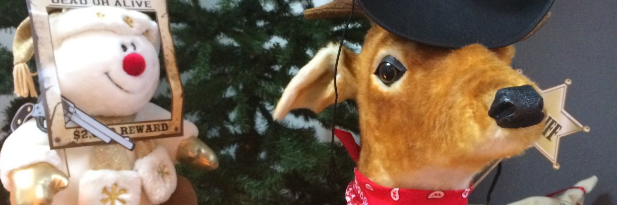 radiolapland's profile banner image