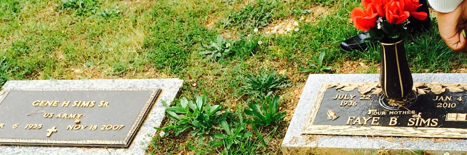 Simsj78's profile banner image