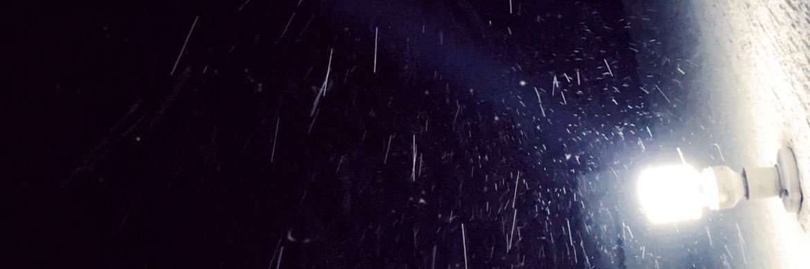 لـيدي 🌸 ‏𓆩 banner