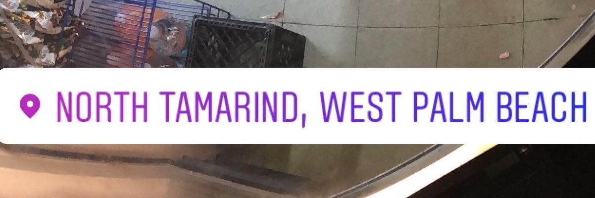 President Ape🦍⚠️ banner