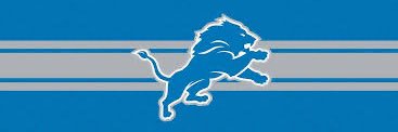 Detroit Wolverines banner
