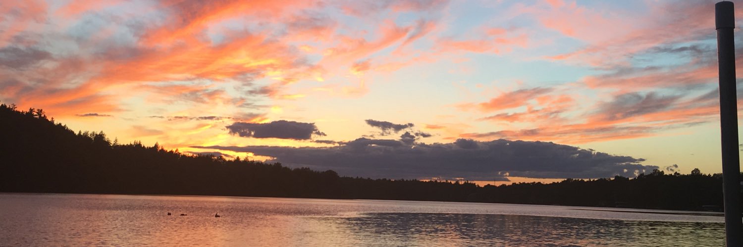nicoledoucet34's profile banner image