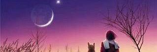 TanStefanoni's profile banner image