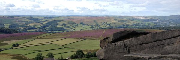 andrew_c_lin Profile Banner