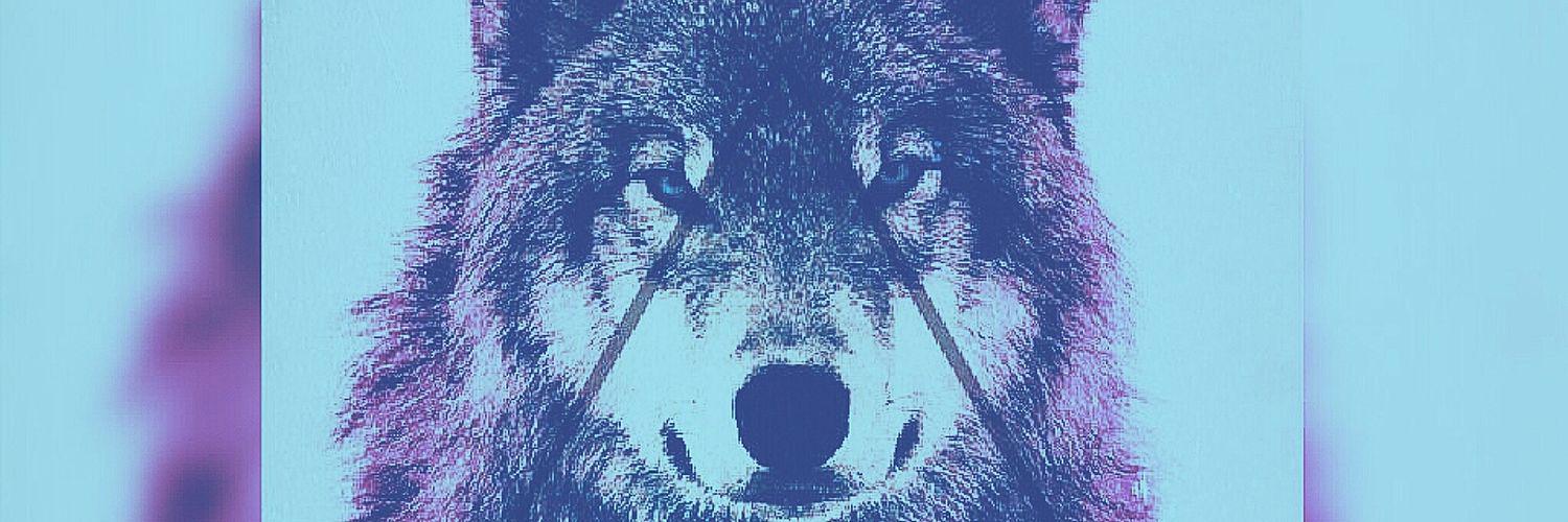 Julito_Wolf's profile banner image